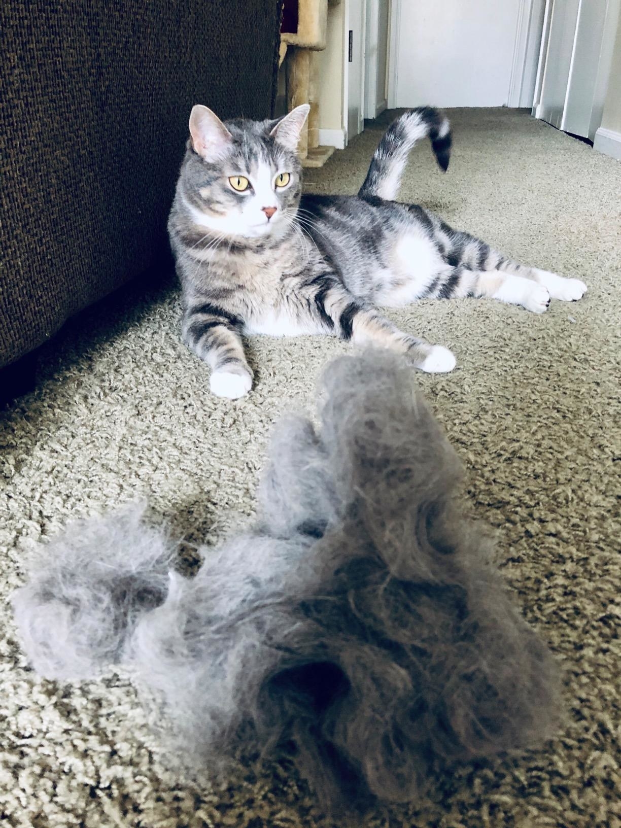 48 Products Im Somewhat Concerned You Dont Own Yet