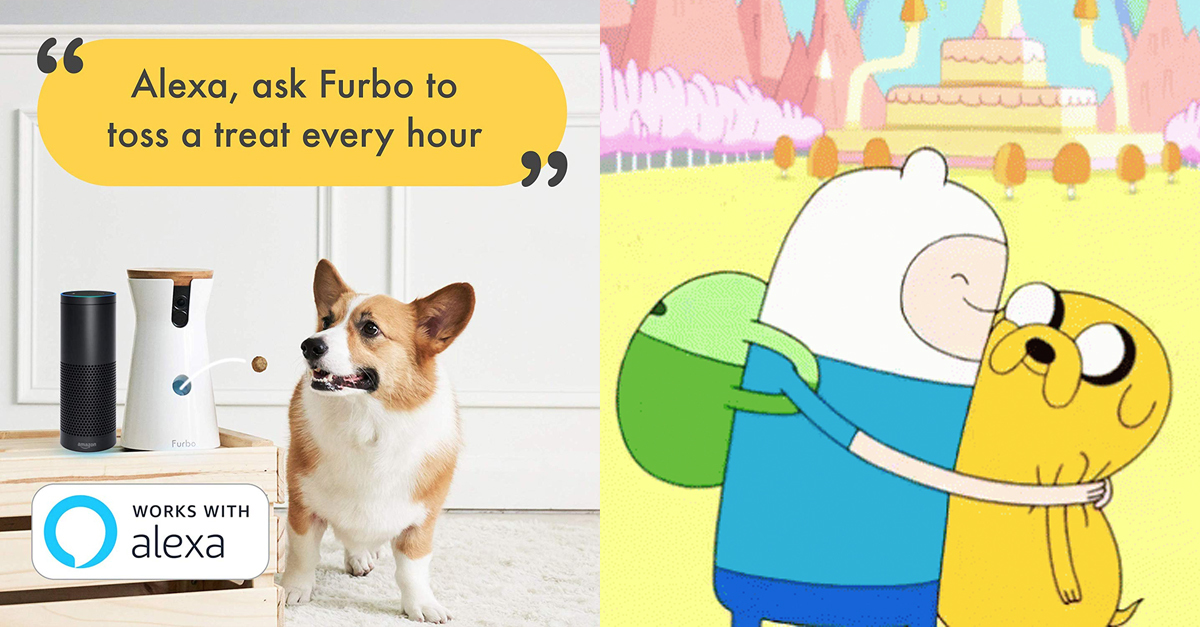 Furbo amazon clearance prime day 2019