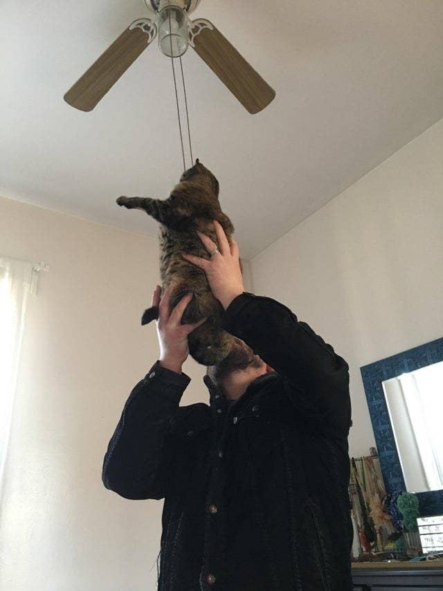 17 People Who Saw A Cat In Need And Came To The Rescue