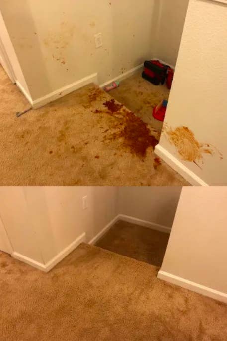 reviewer's carpet covered in sauce and then clean after using product 