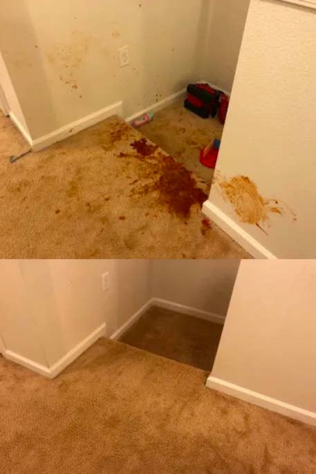 reviewer's carpet covered in sauce and then clean after using product 