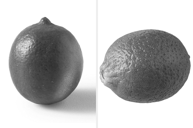 Do You Actually Know What Lemons Look Like? Because I Don't Think You Do.