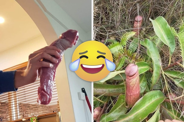 Aussehen penis