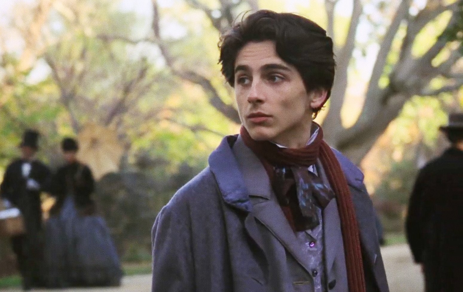 little women timothee chalamet