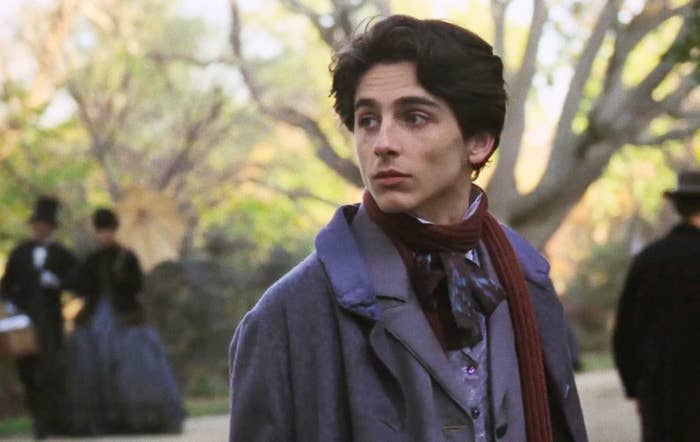 Everyone is going mad for Timothée Chalamet's hair in Little Women