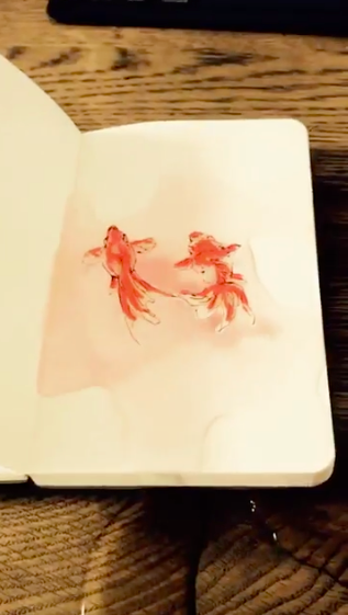 描いた金魚が泳いでる 手品みたい Twitterに投稿された 不思議な動画 に驚きの声が続出