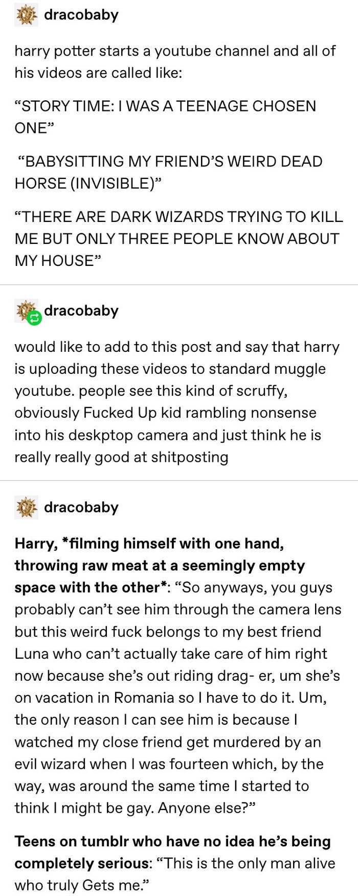 memes harry potter  Harry potter anime, Harry potter test, Harry potter  funny