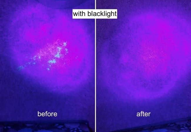 before photo showing pee stain under blacklight and an after photo showing the stain gone