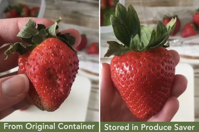 a side-by-side of a strawberry - the left side shows it dry and over-ripened in the original container, and the right side shows the strawberry still super fresh after storage in the container