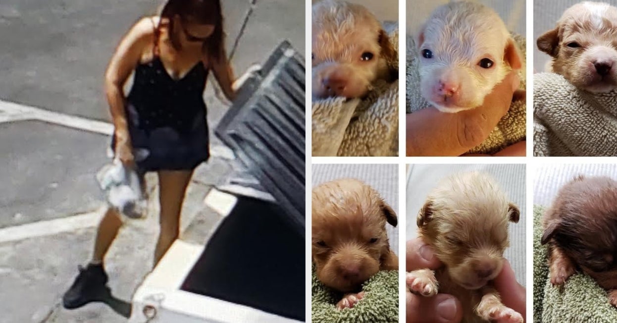 Coachella Woman Caught Dumping Puppies In Trash Gets Jail Sentence