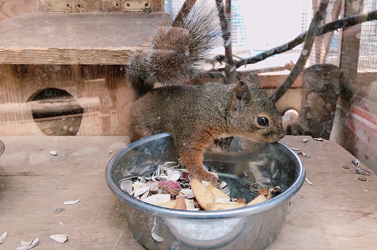 長野観光の超穴場 子連れにオススメな入場無料の動物園があります