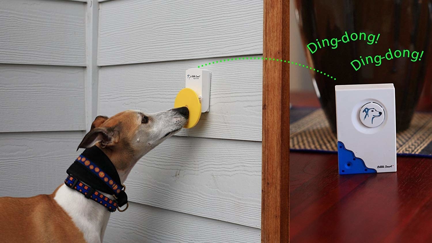 a dog touching their nose to a yellow doorbell 