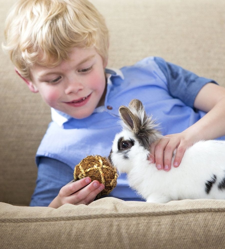 a child handing the bunny the ball
