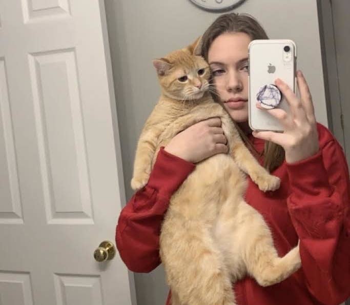 Cat Goes Viral on TikTok App