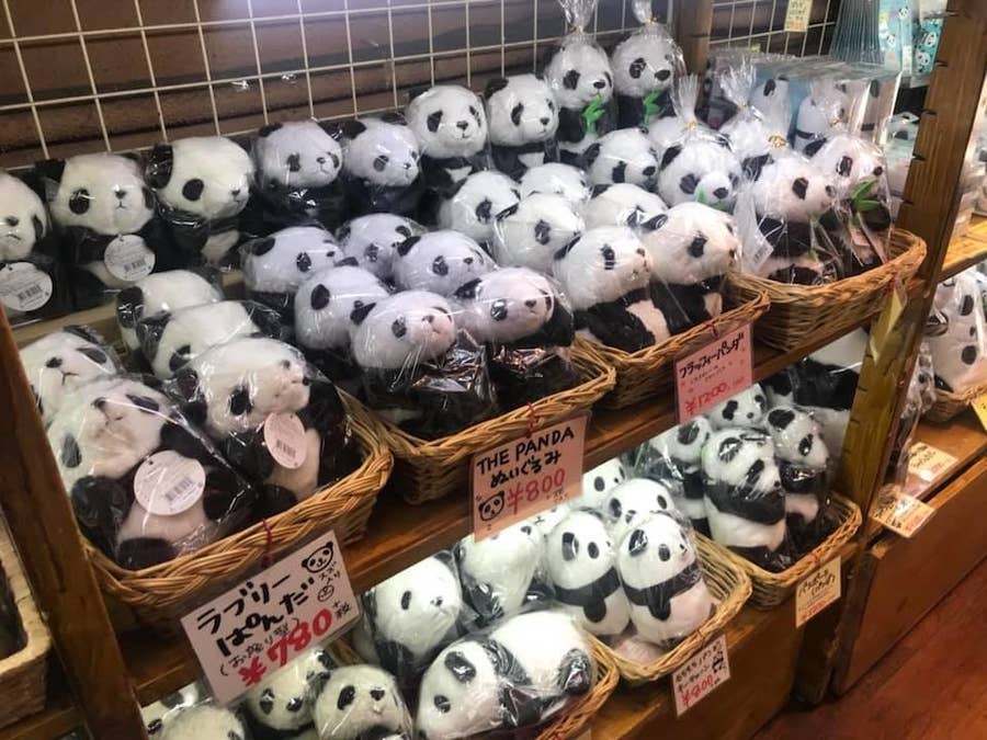 パンダ愛の強い同志たちよ 聖地は上野 神戸 和歌山だけじゃないぞ