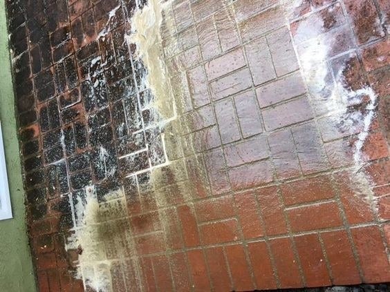 Reviewer&#x27;s picture of their patio bricks getting deep-cleaned 