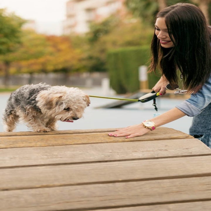 17 Of The Best Airbnb Experiences For Dog Lovers
