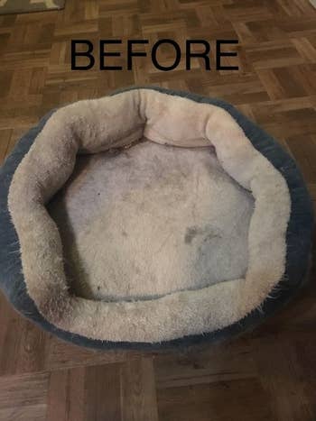 Reviewer's before picture of dirty dog bed