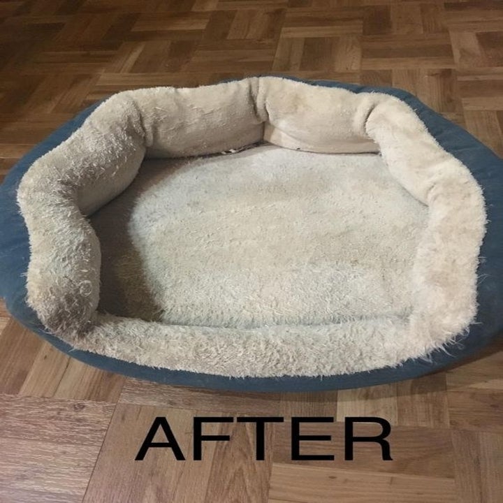 Reviewer's after picture of now cleaner dog bed