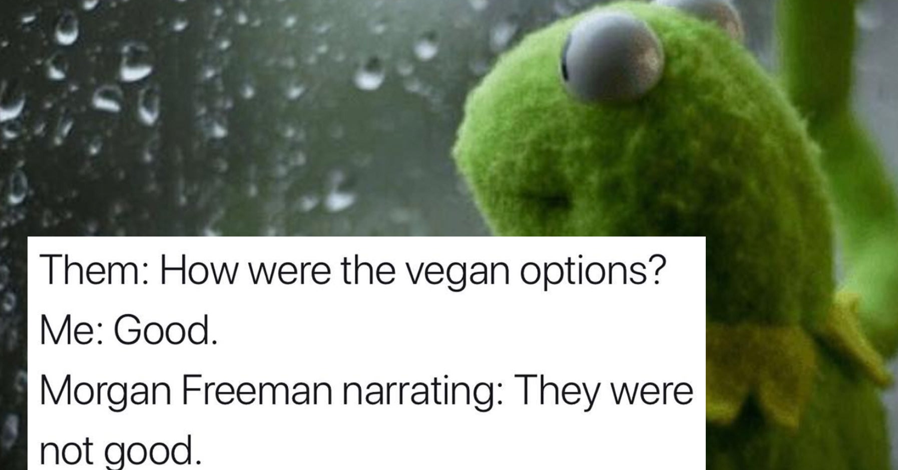 99 Vegan Jokes And Memes That Only Vegans Will Appreciate
