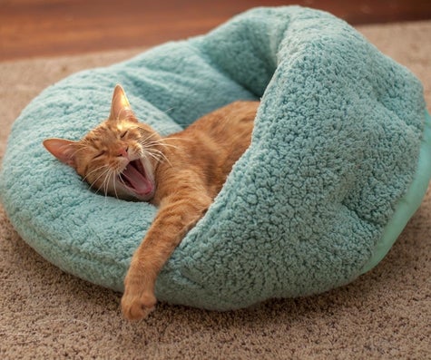 This Pet Bed Is Super Comfy And Machine Washable So You And