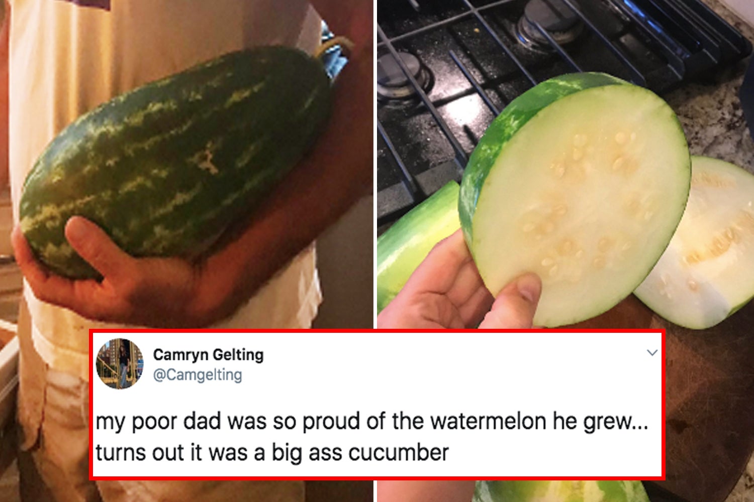 Giant Cucumber In Ass