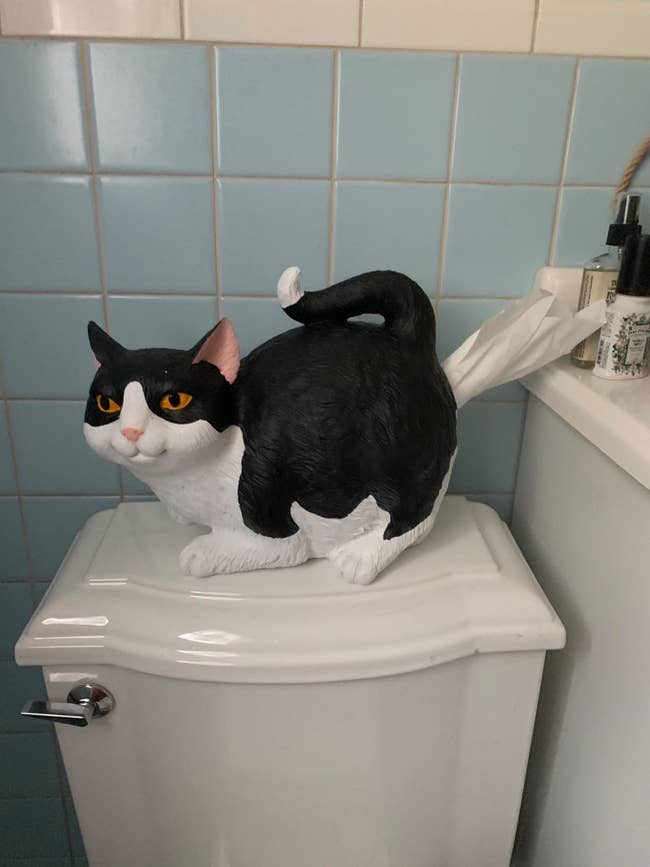 reviewer photo of a black and white cat with tissues coming out of its butt