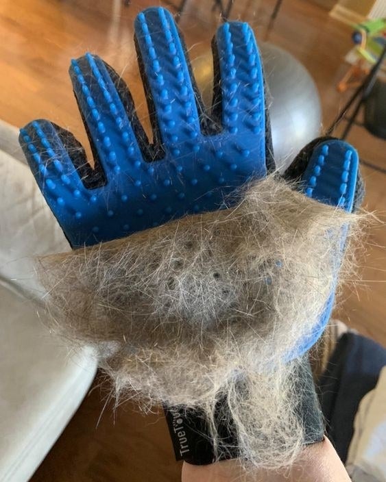 reviewer image of a hand wearing the true touch deshedding glove which is covered in fur