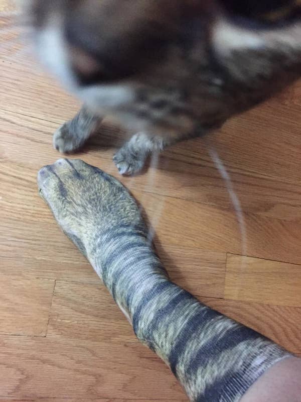 29 Products That Ll Probably Make Cat Owners Laugh Out Loud