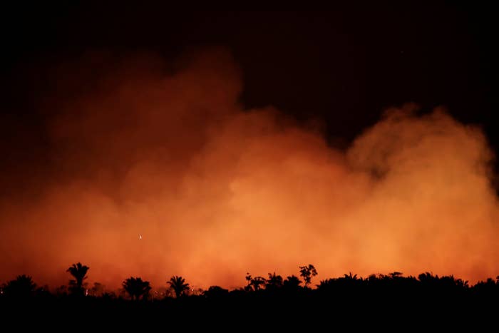Photos Amazon Rainforest Damage And Fires