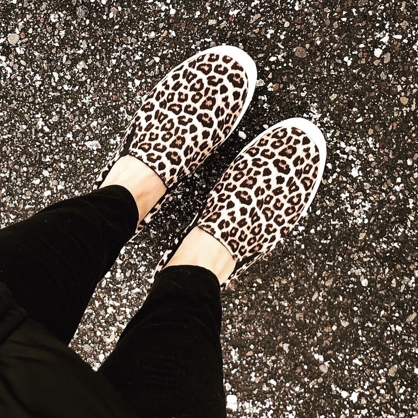 soda leopard slip on sneakers