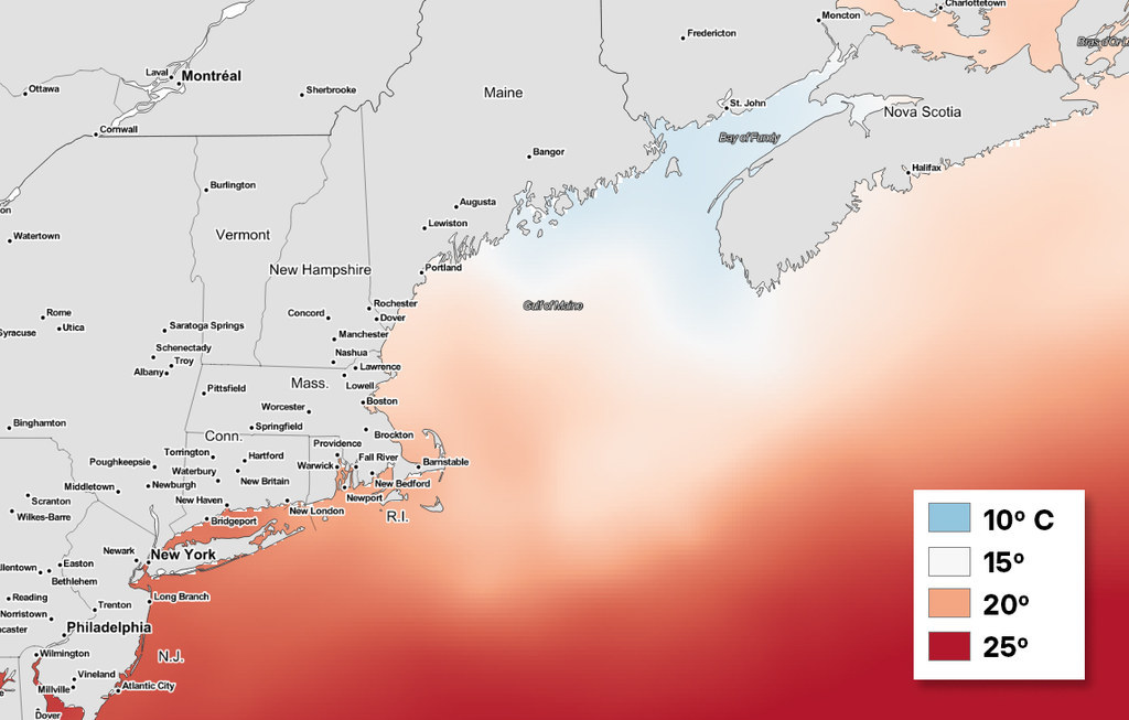 Scientists Say Climate Change Is Driving An Increase In Deadly Flesh