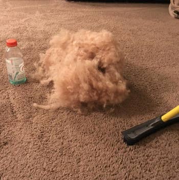 reviewer's carpet with rubber broom and large cloud-like pile of pet hair 