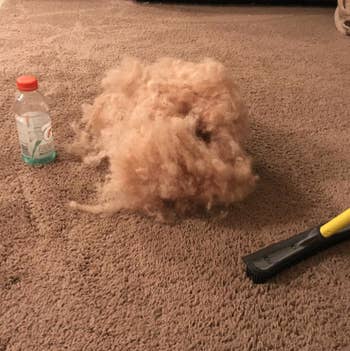 reviewer's carpet with rubber broom and large cloud-like pile of pet hair 