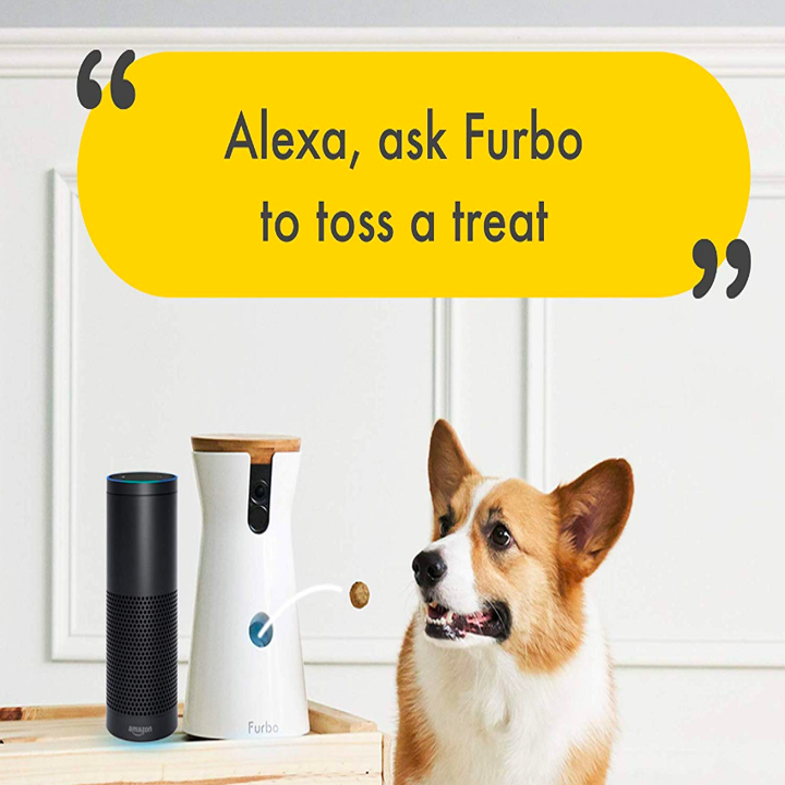 24 Pet Products That You, A Human, Might Love Even More Than They Do