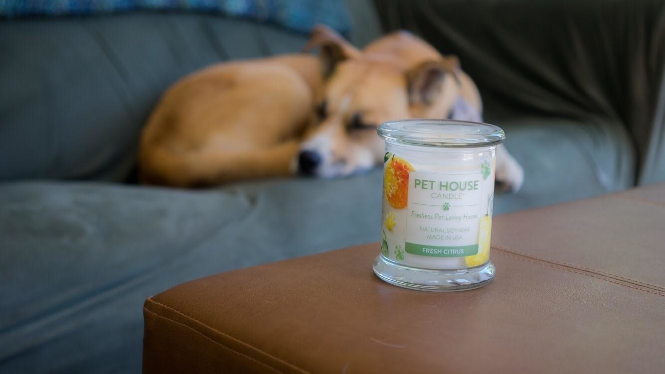 Reviewer photo of the candle