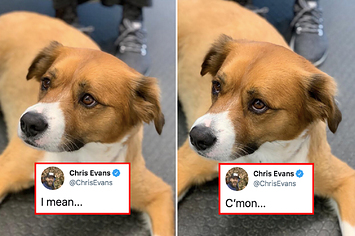 Photos from Chris Evans and His Rescue Dog Dodger's Cutest Moments