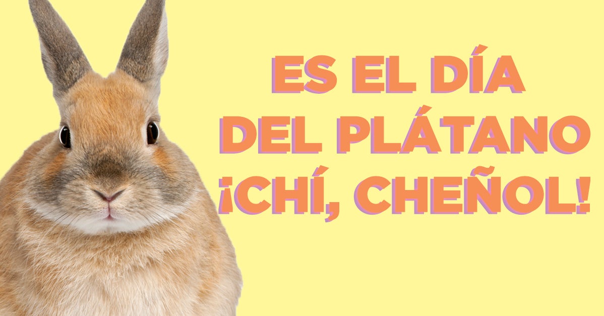 Puedes Adivinar Cual Es El Dia Del Platano En Un Solo Intento