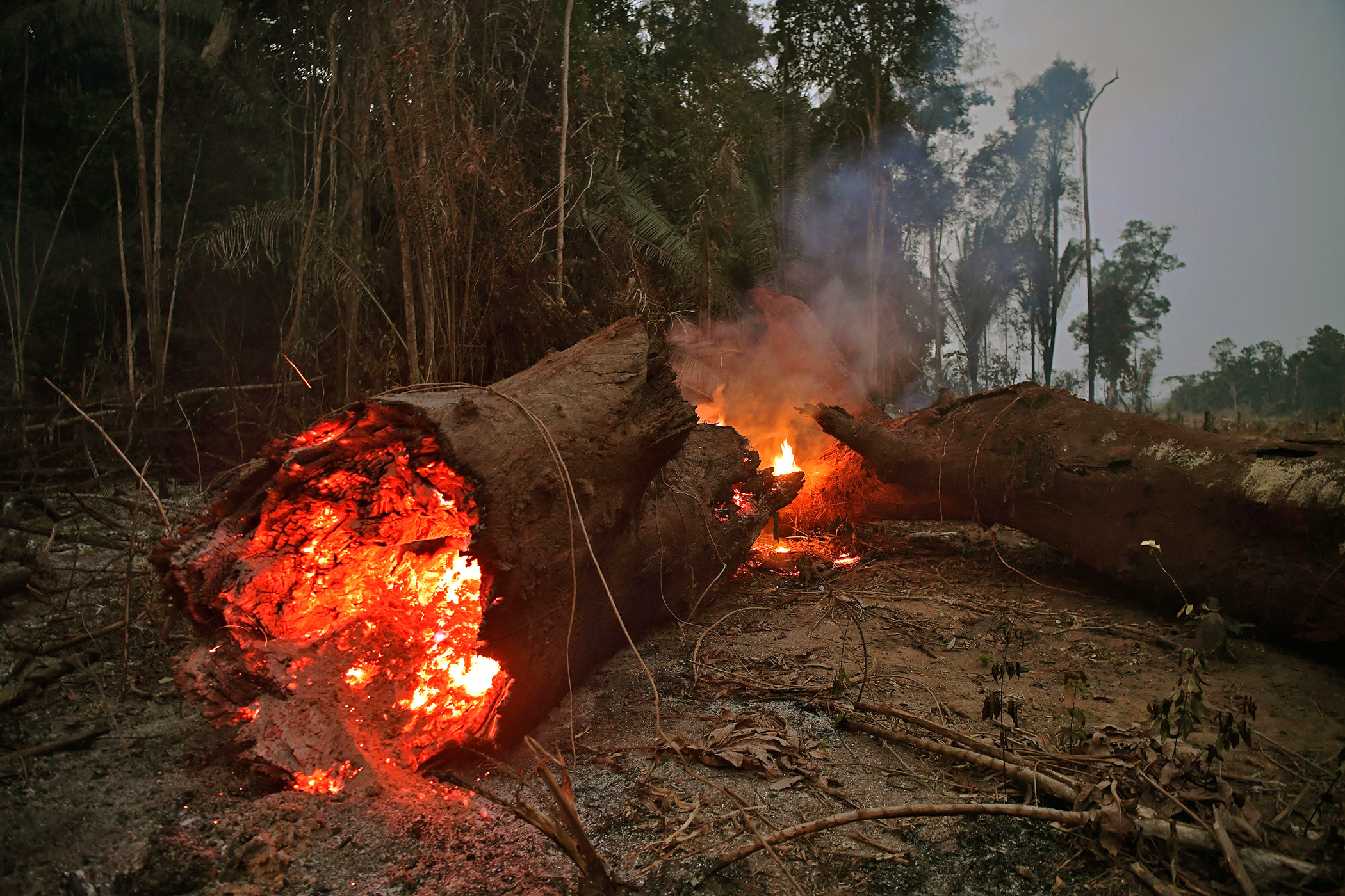 These Photos Show The Sheer Devastation Of The Amazon Fires