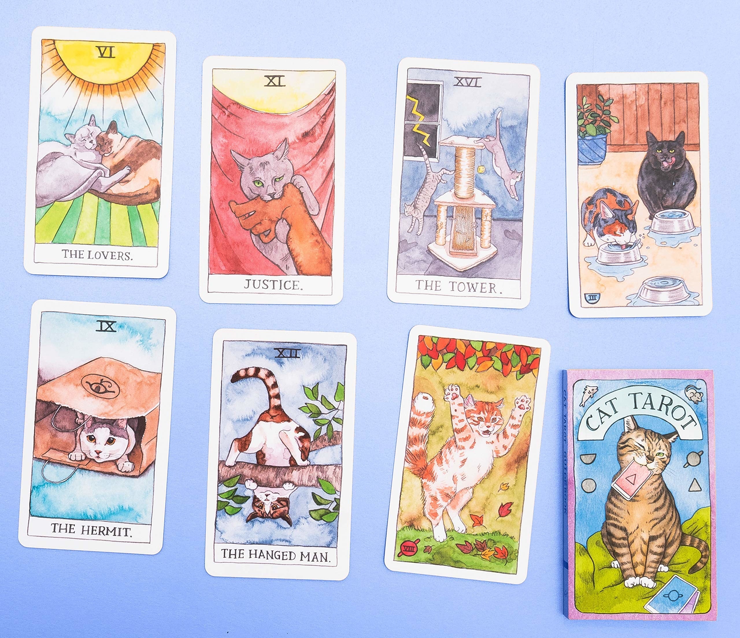 the cards with various cute cats on them 