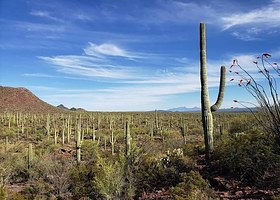 Check Off All The National Parks You've Been To For Bragging Rights