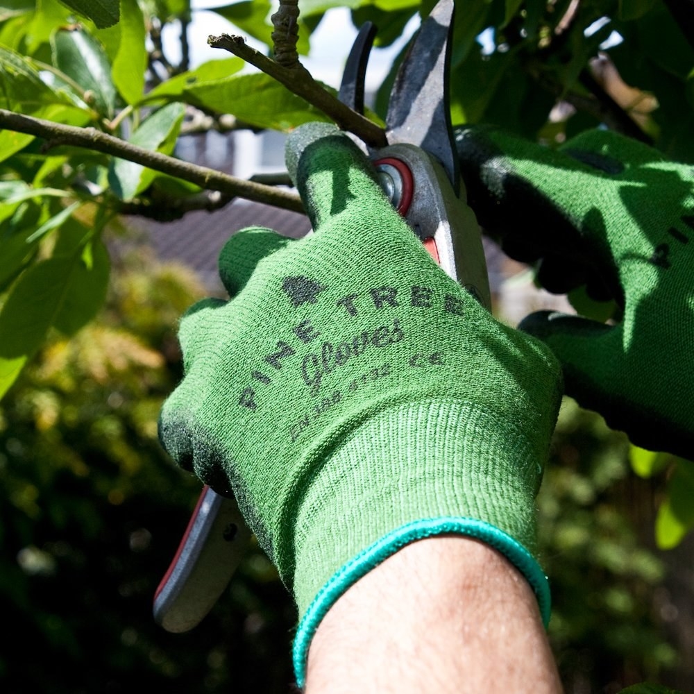 Reviewer&#x27;s hand wearing the glove is shown trimming a tree