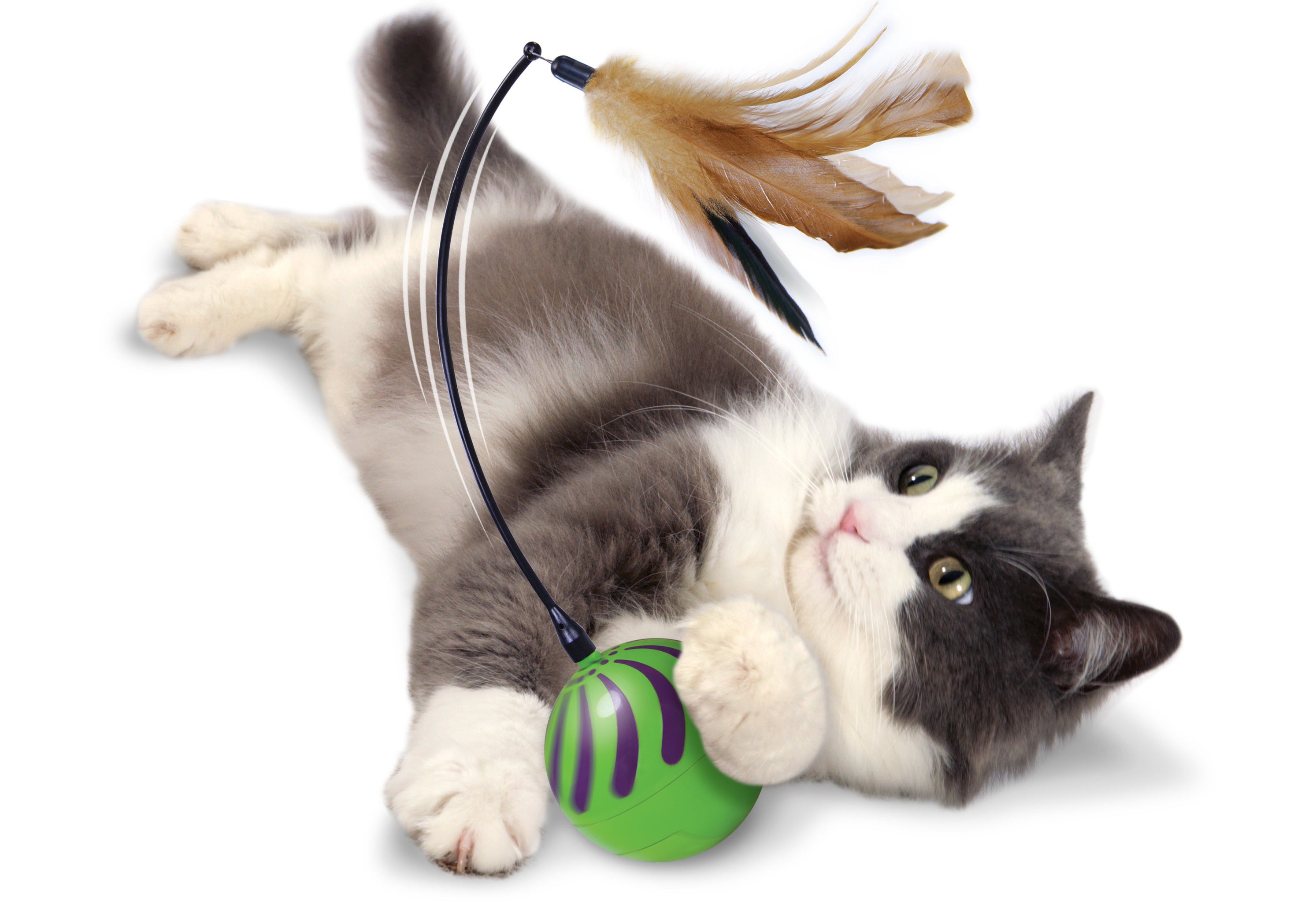Игрушка для кошек видео. Круглая кошка игрушка. Выставка кошек игрушек. Игрушка кошка с украшениями из рекламы. Надувка-игрушка кошка.