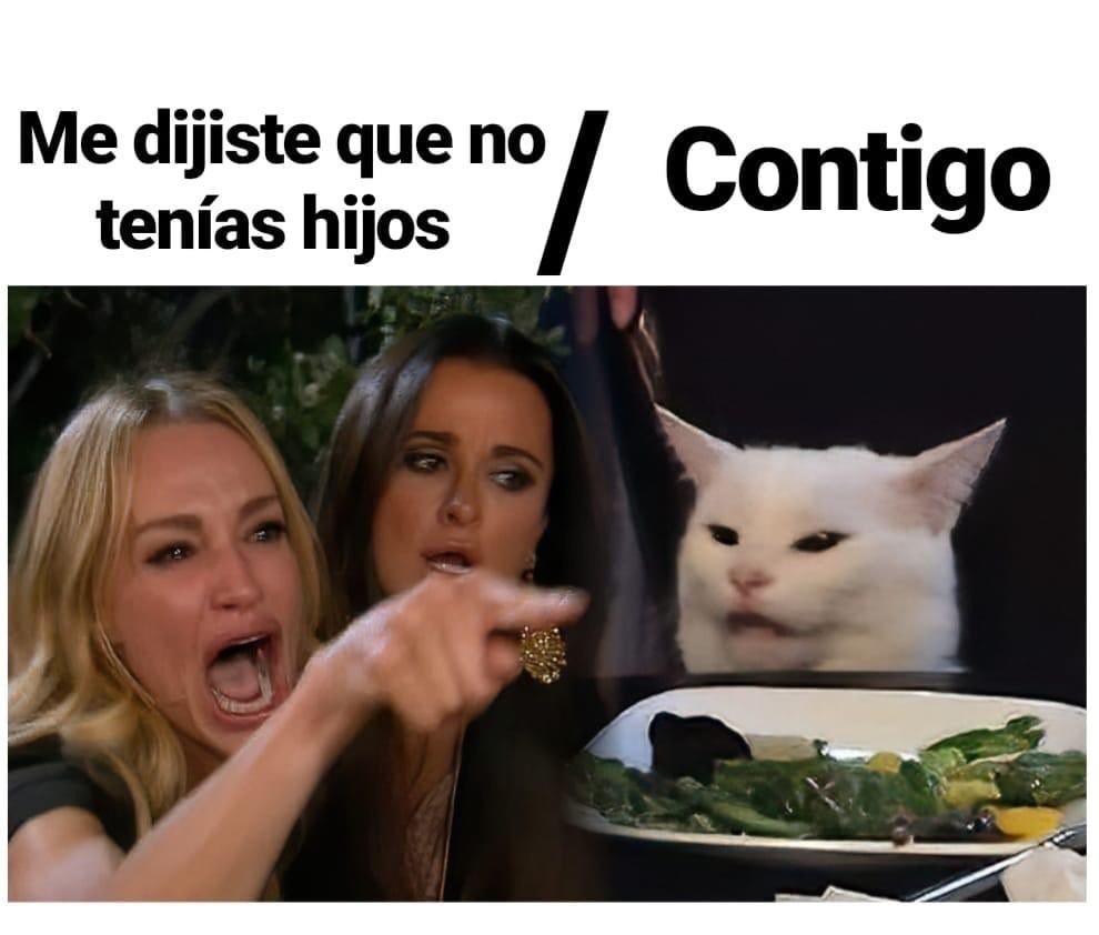 Memes Del Gatito Relativamente Mentiroso Que Te Dar N Mil Risa