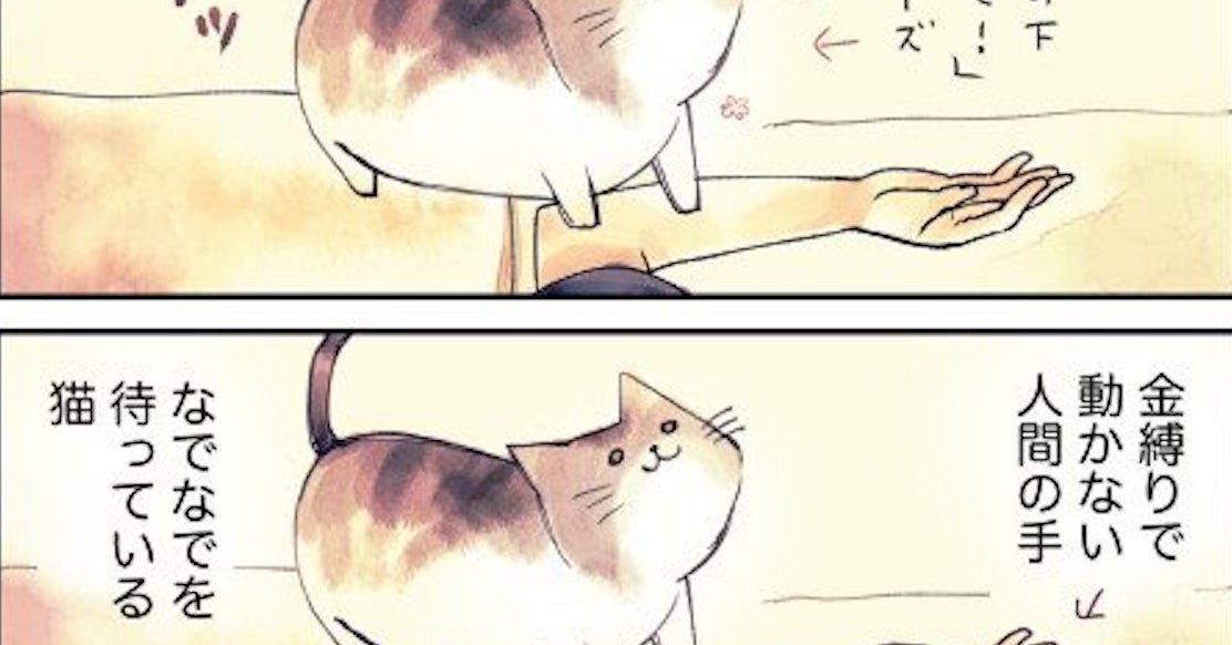 飼い主が金縛りにあった時 ある猫がとった行動が可愛すぎて悶絶