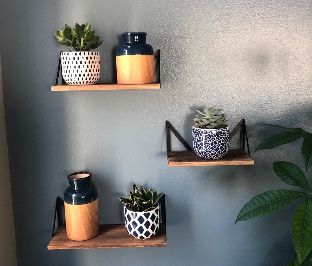 the three shelves hanging on a wall holding small planters