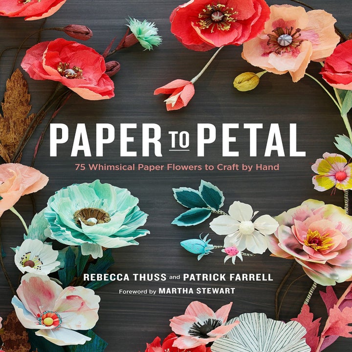 A photo of the book