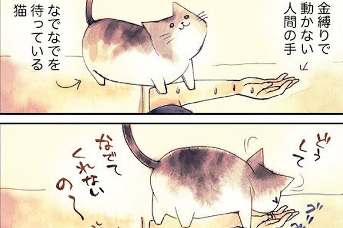 飼い主が金縛りにあった時 ある猫がとった行動が可愛すぎて悶絶