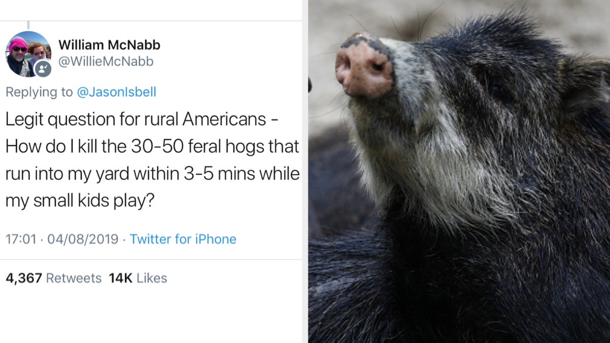 Licorice Pizza (2021, D: Paul Thomas Anderson) S: Cooper Hoffman, Alana  Haim - DVD Talk Forum, image size:1200x675