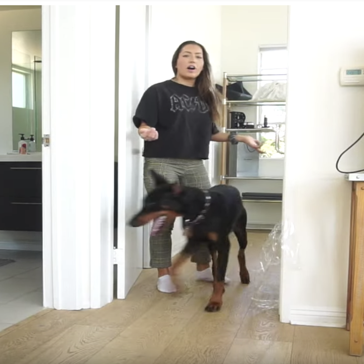 Police Investigate YouTuber Brooke Houts Over Dog Prank Video